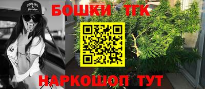 гашик Лесосибирск
